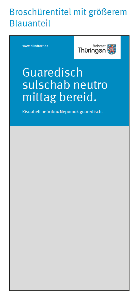 Broschürentitel mit größerem Blauanteil